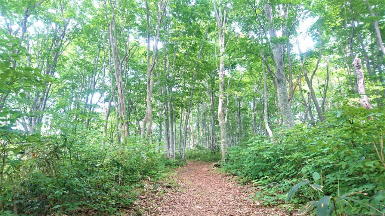 Blueberry Pension Madarao Iiyama Exterior foto